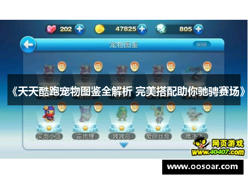 《天天酷跑宠物图鉴全解析 完美搭配助你驰骋赛场》