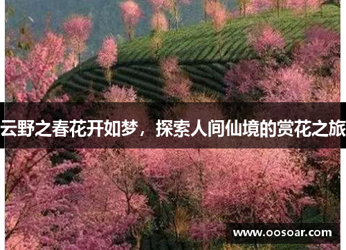 云野之春花开如梦，探索人间仙境的赏花之旅
